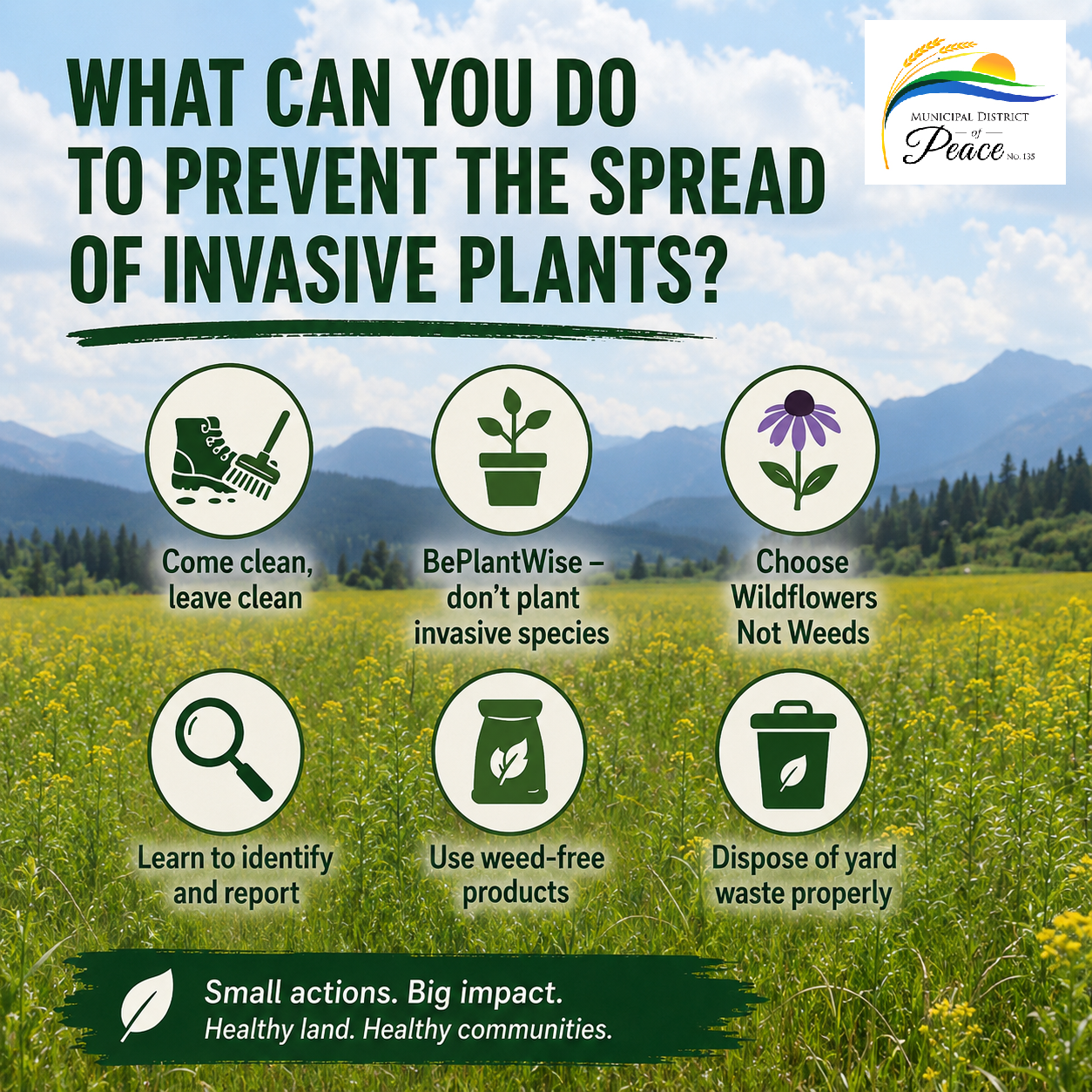 What Can You Do To Prevent The Spread Of Invasive Plants? | Municipal ...